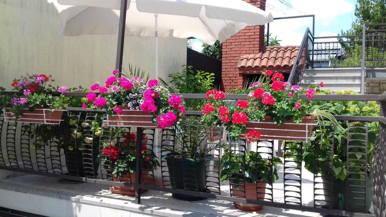 Apartman & Soba Skarica Матульи Экстерьер фото